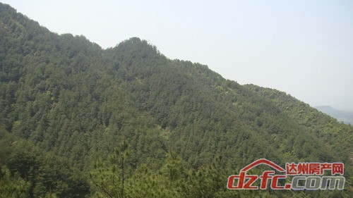 点击浏览下一张